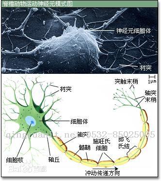 人工智能起步-反向回馈神经网路算法（BP算法）-Java培训,做最负责任的教育,学习改变命运,软件学习,再就业,大学生如何就业,帮大学生找到好工作,lphotoshop培训,电脑培训,电脑维修培训,移动软件开发培训,网站设计培训,网站建设培训