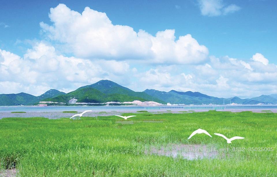 随波逐流         -Java培训,做最负责任的教育,学习改变命运,软件学习,再就业,大学生如何就业,帮大学生找到好工作,lphotoshop培训,电脑培训,电脑维修培训,移动软件开发培训,网站设计培训,网站建设培训