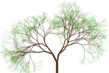 -计算机培训,Java培训学校,免费Java培训,大学生就业培训,平面设计培训,网页设计培训,美工培训,游戏开发,动画培训