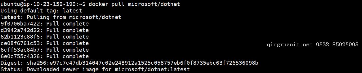 docker 初识之二（简单发布ASP.NET Core 网站-Java培训,做最负责任的教育,学习改变命运,软件学习,再就业,大学生如何就业,帮大学生找到好工作,lphotoshop培训,电脑培训,电脑维修培训,移动软件开发培训,网站设计培训,网站建设培训