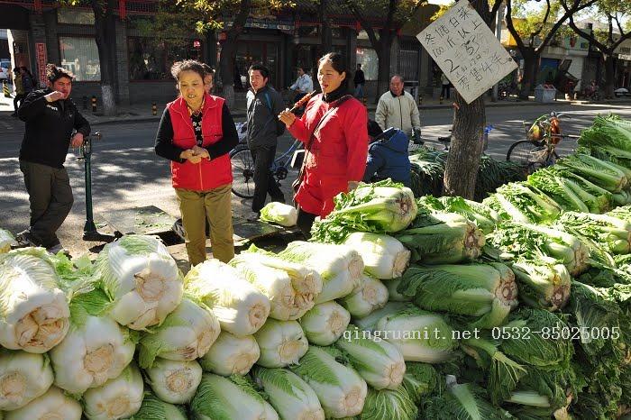 移动开发培训,Android培训,安卓培训,手机开发培训,手机维修培训,手机软件培训