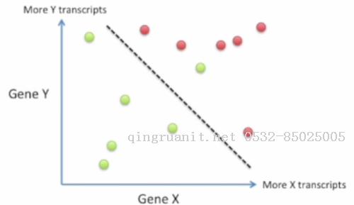 大学生就业培训,高中生培训,在职人员转行培训,企业团训